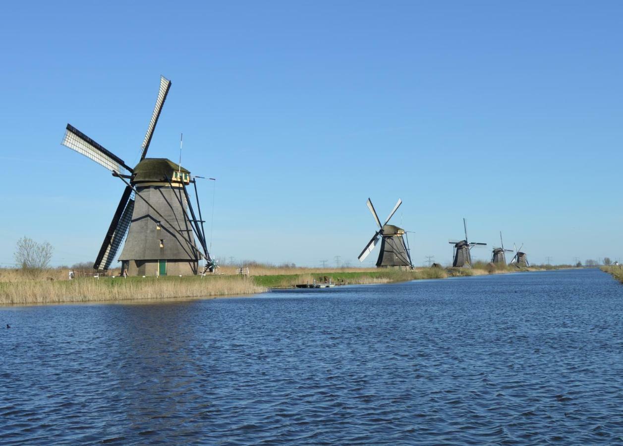 Het Dobbertje, Charmant Houten Huisje Sint Maartensvlotbrug Eksteriør bilde